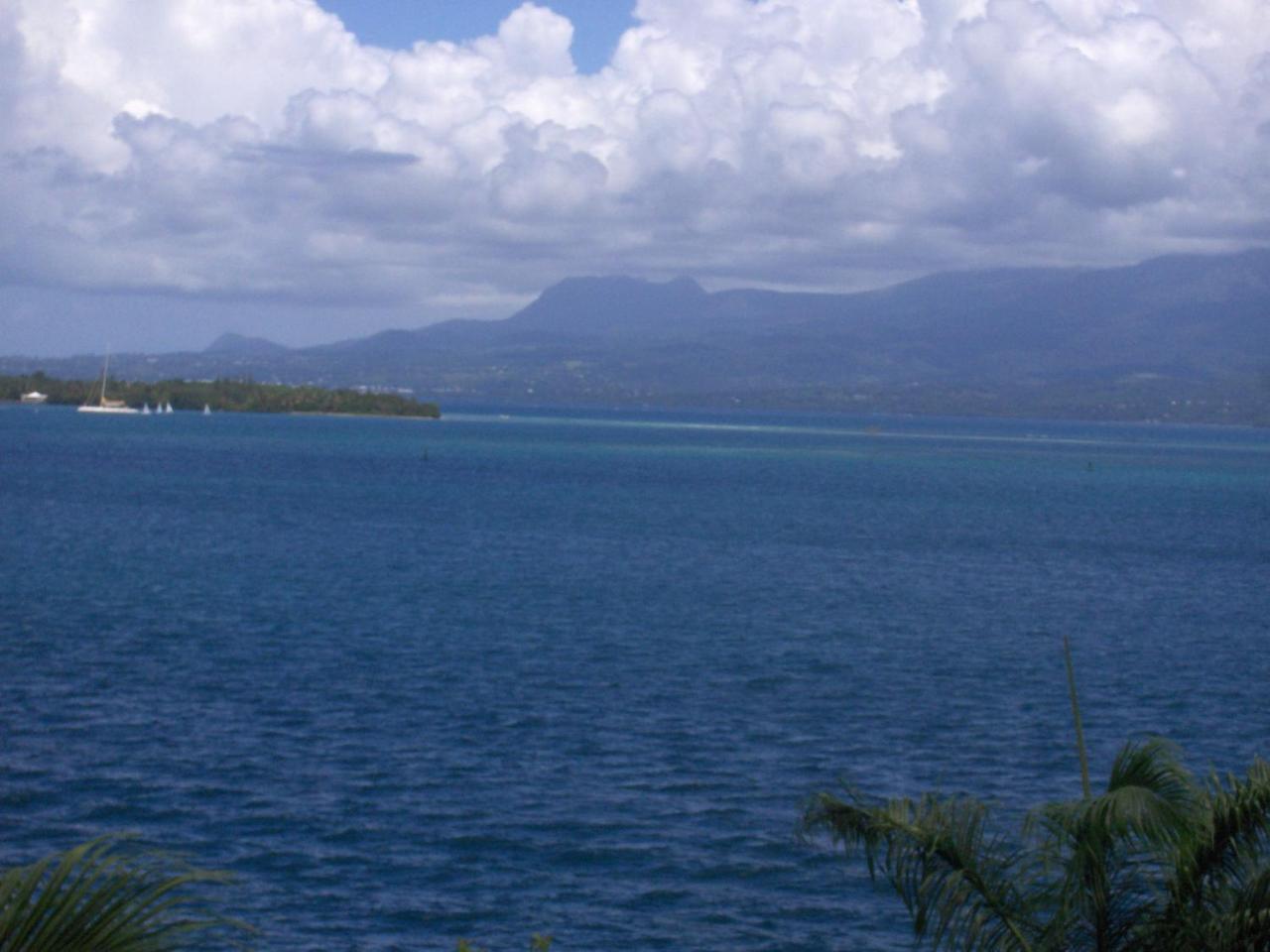 Hotel Saint John Perse Pointe-à-Pitre Eksteriør billede